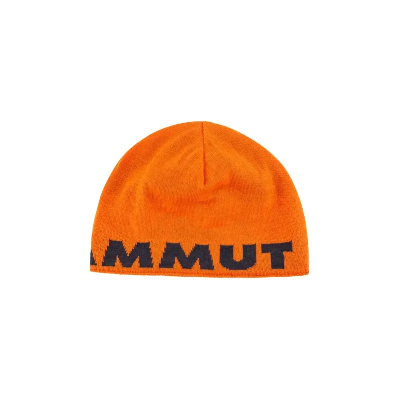 Mammut Logo Beanie in Arumita Night