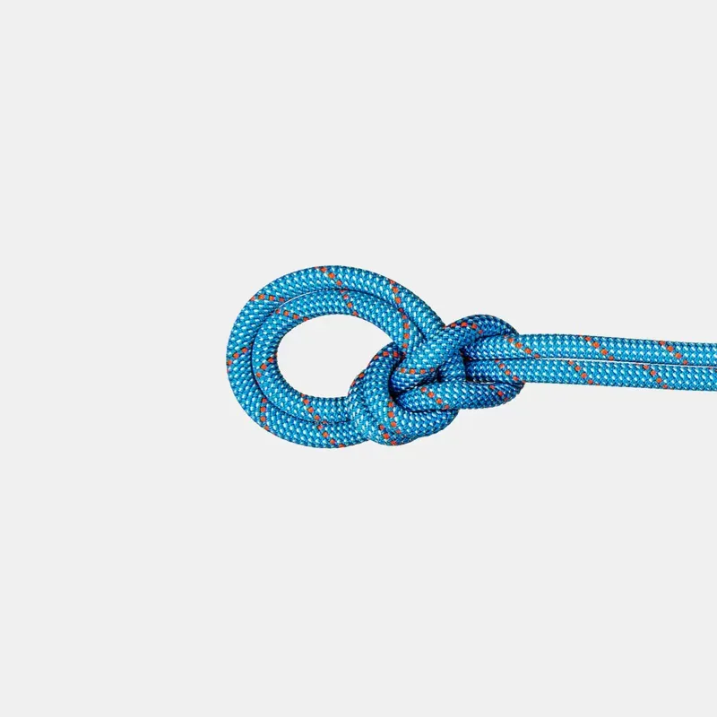 Mammut 9.8 50m Crag Classic Rope in Ice Mint-White