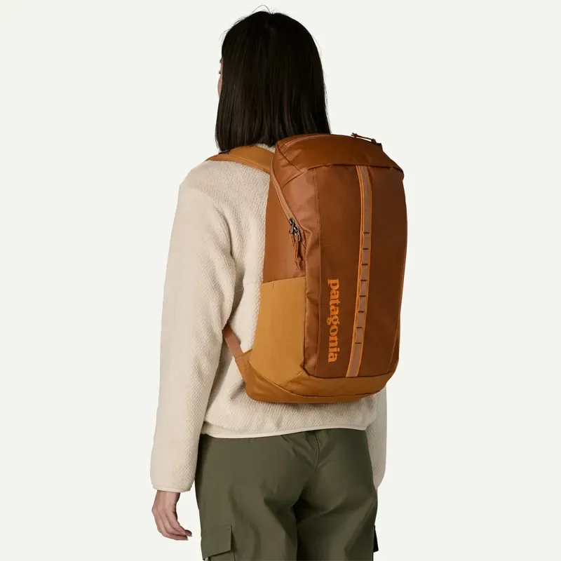 Patagonia Black Hole 25L Pack in Cinnamon Brown-2