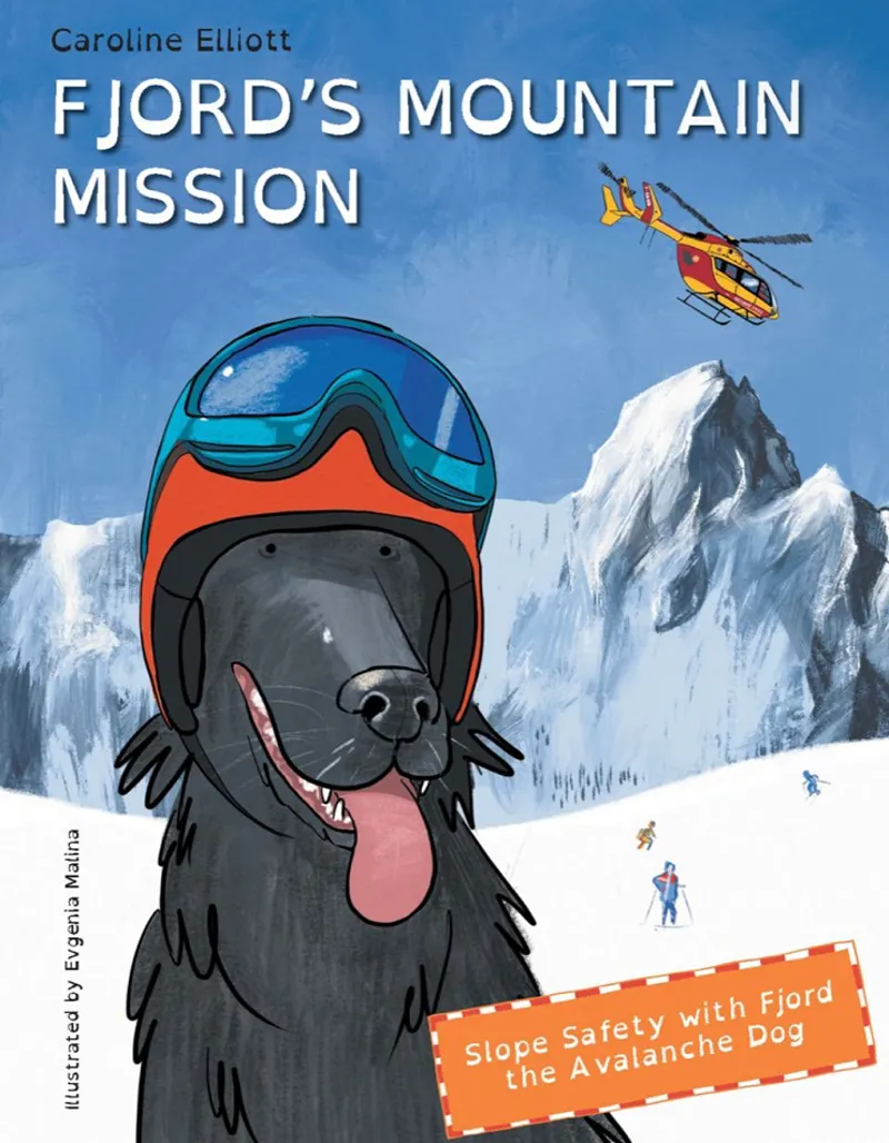 Fjord's Mountain Mission Paperback