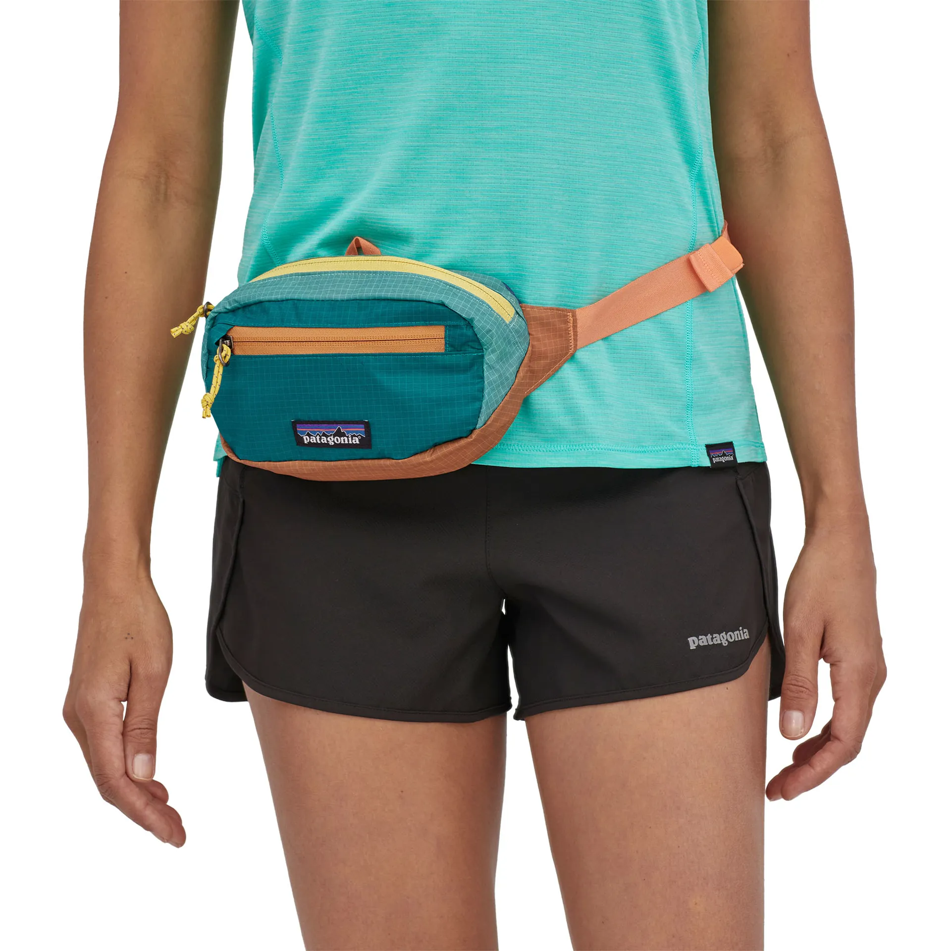 Patagonia Ultralight Black Hole Mini Hip Pack in Patchwork: Current Blue