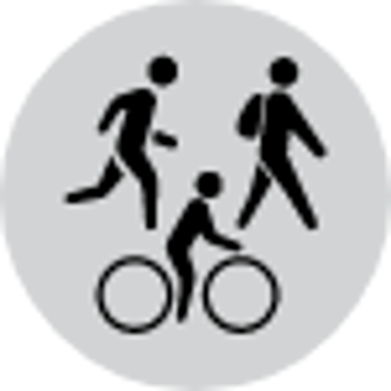 Inov8 W's Roclite G 315 GTX V2 Purple/Grey/Lilac-5