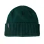 Patagonia Brodeo Beanie in Cascade Green