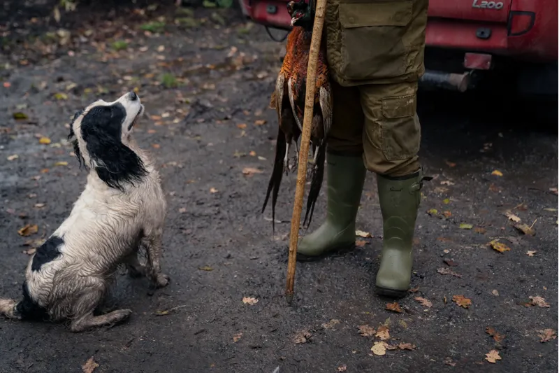 Seeland Men's Key-Point Elements trousers Pine green/Dark brown-2