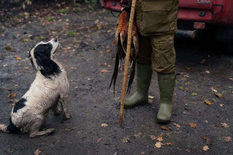 Seeland Men's Key-Point Elements trousers Pine green/Dark brown-1