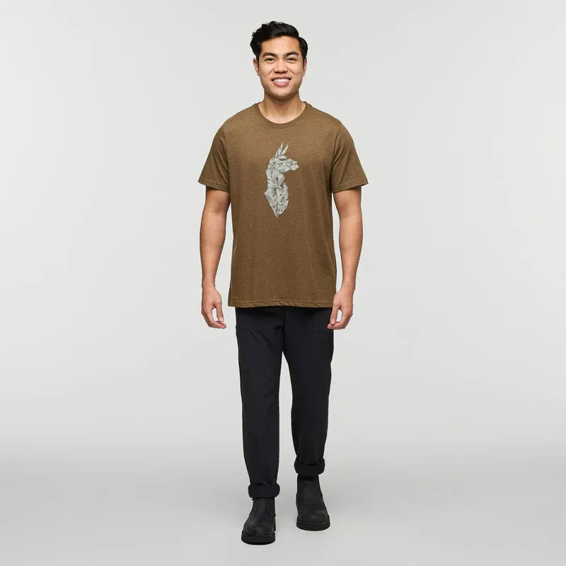 Cotopaxi Men's Into the Pines T-Shirt Live Oak-2