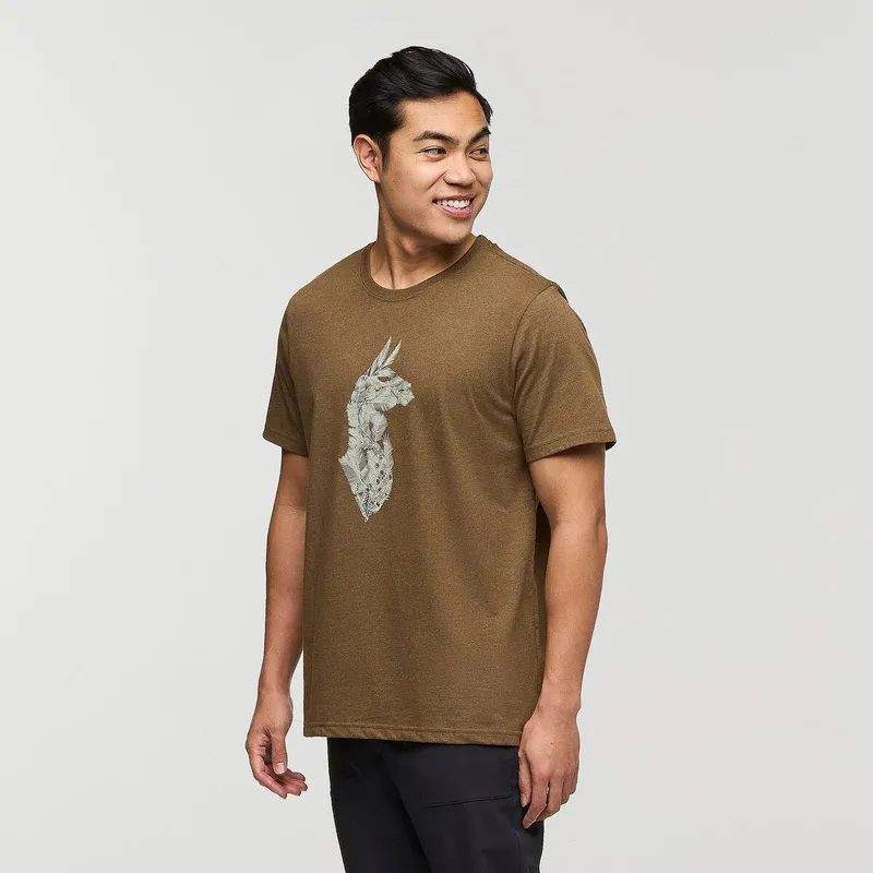 Cotopaxi Men's Into the Pines T-Shirt Live Oak-4