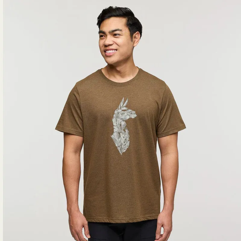 Cotopaxi Men's Into the Pines T-Shirt Live Oak
