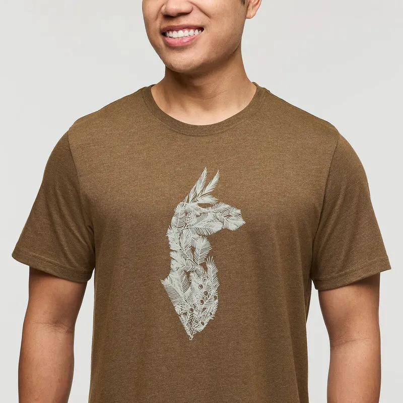 Cotopaxi Men's Into the Pines T-Shirt Live Oak-1
