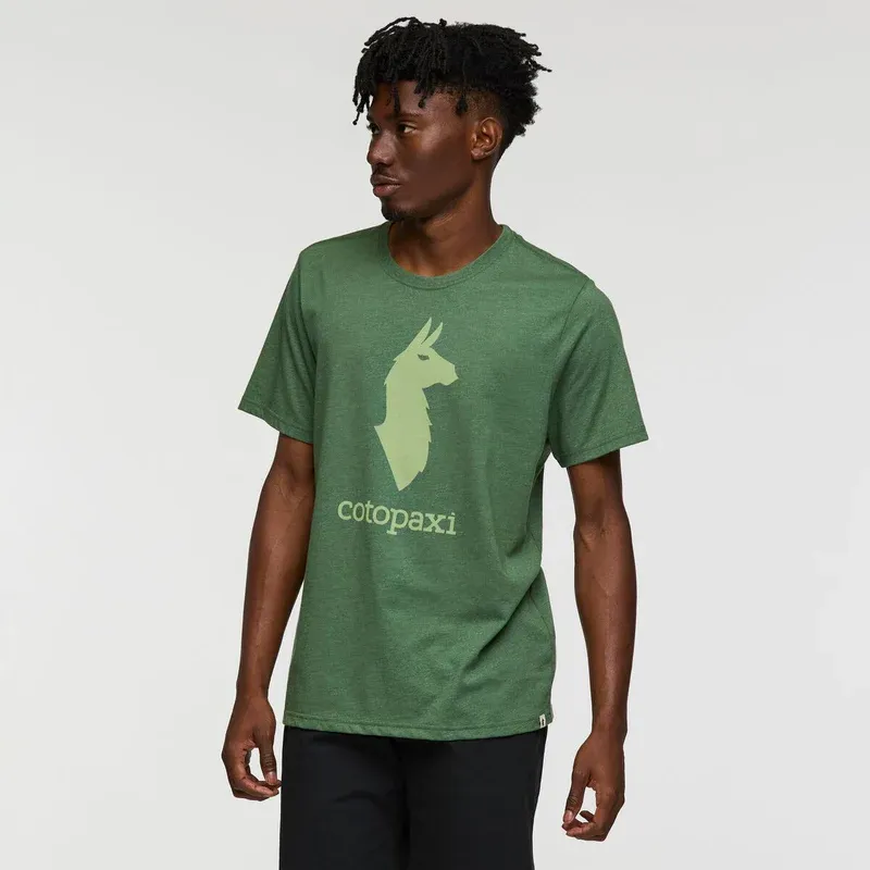 Cotopaxi Men's Cotopaxi Llama T-Shirt Vine