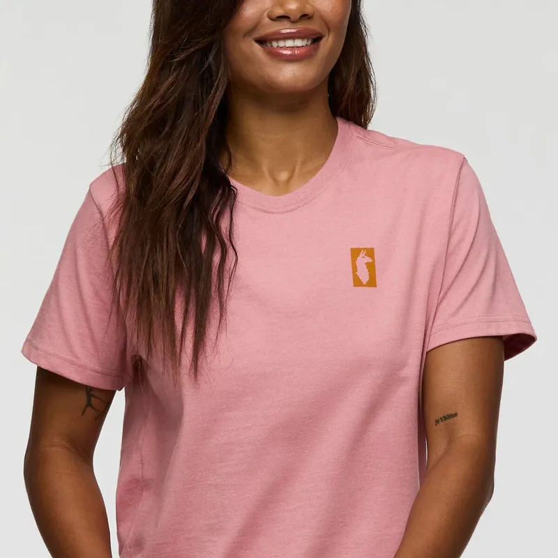 Cotopaxi Women's Gear For Good Stripes T-Shirt Rose-5