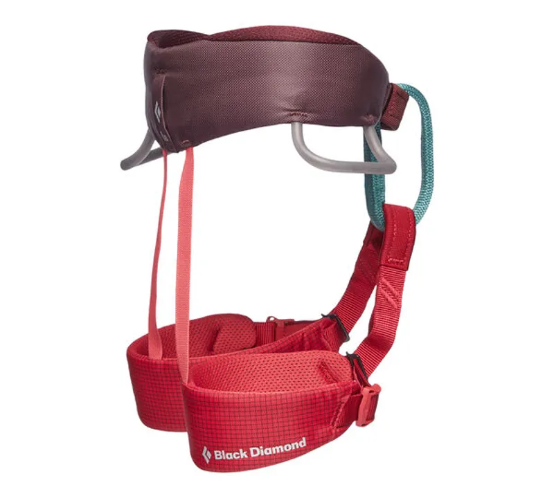 Black Diamond Momentum Harness - Kids Wild Rose-1