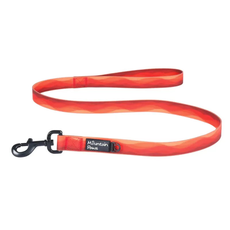 Waterproof Dog Lead-2