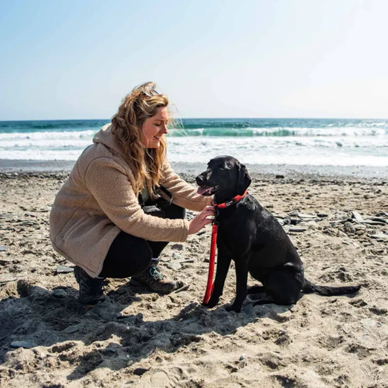 Waterproof Dog Collar Orange-2