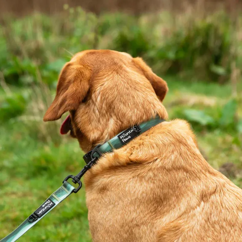 Waterproof Dog Collar green-1