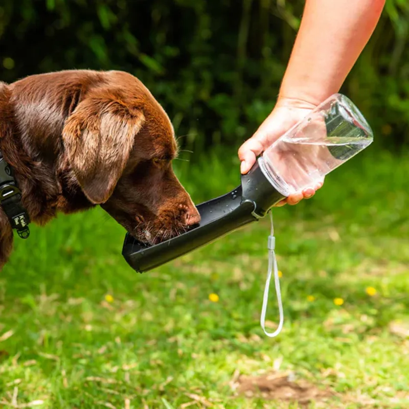Folding Dog Water Bottle-1