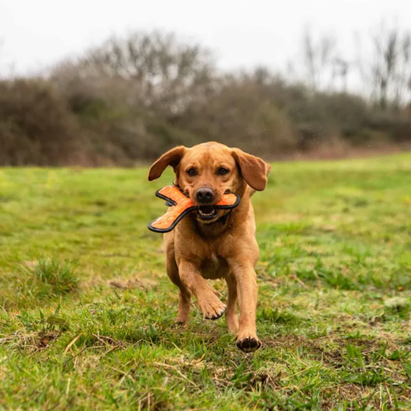 Rubber Throw Dog Toy Orange-1