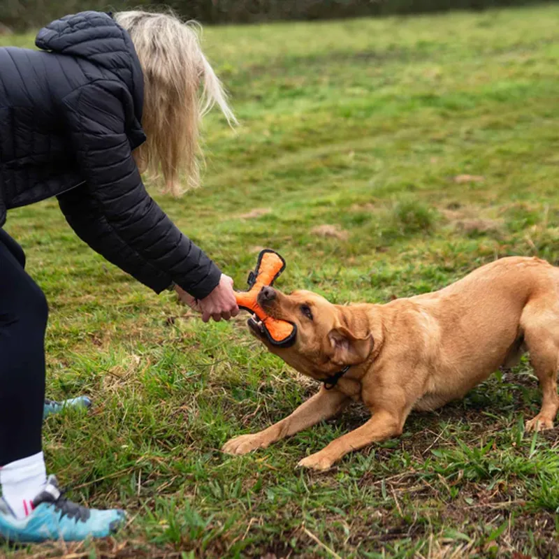 Rubber Throw Dog Toy Orange-2