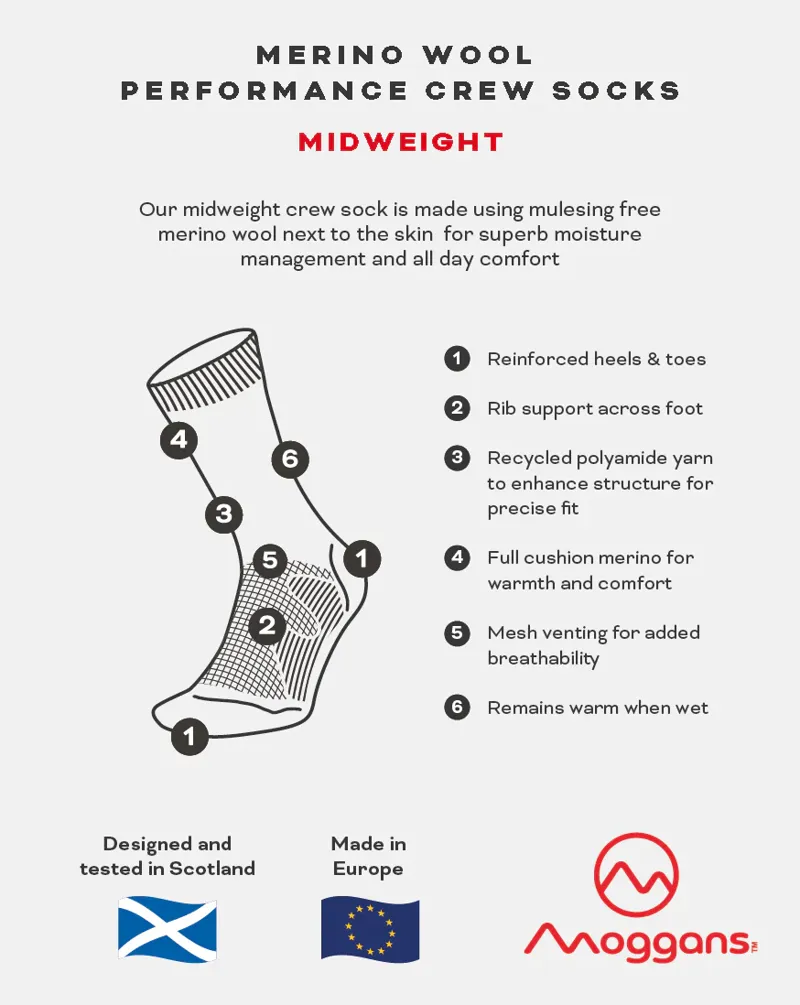 Moggans Midweight Crew Sock - Grey/Teal-1