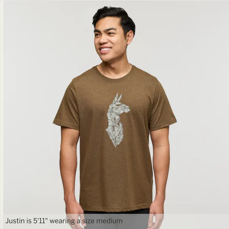 Cotopaxi Men's Into the Pines T-Shirt Live Oak-3