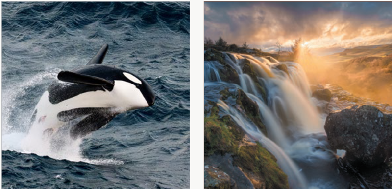 John Muir Trust Wild Nature Calendar 2027-1