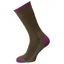 Horizon Merino Hike Sock - Khaki Marl/Purple