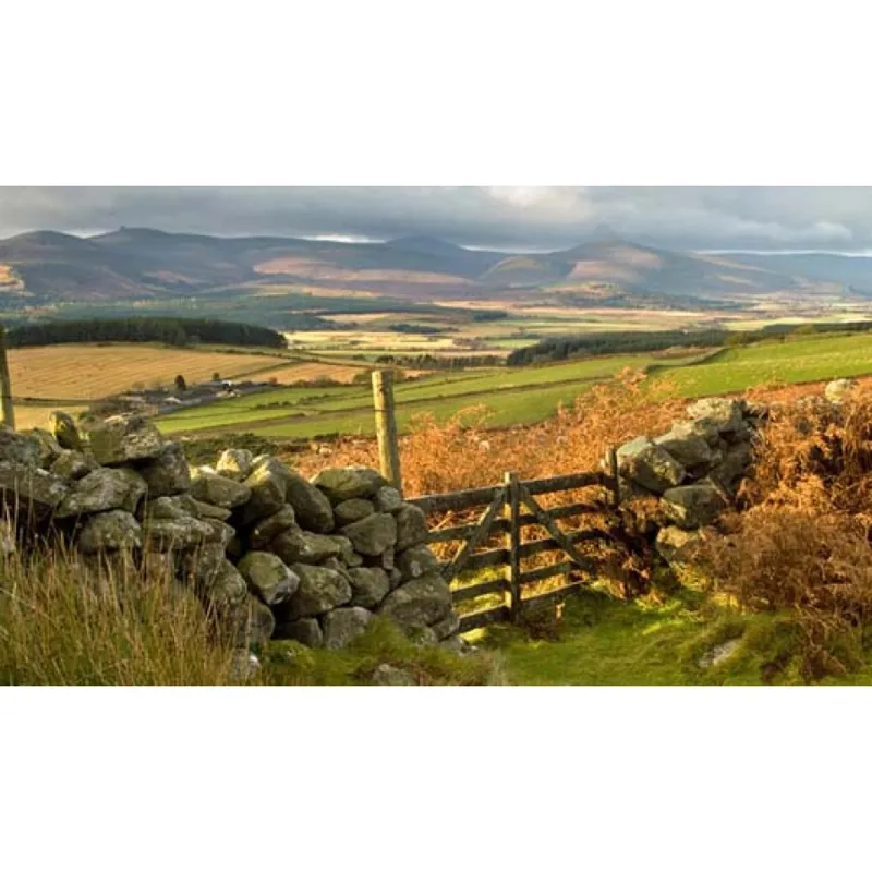 Ordnance Survey Landranger 45: Map of Stonehaven and Banchory-2