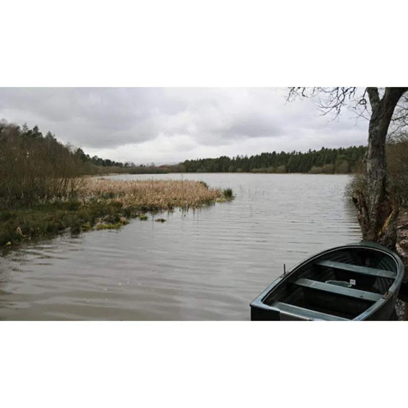 Ordnance Survey Landranger 53: Map of Blairgowrie and Rattray-2