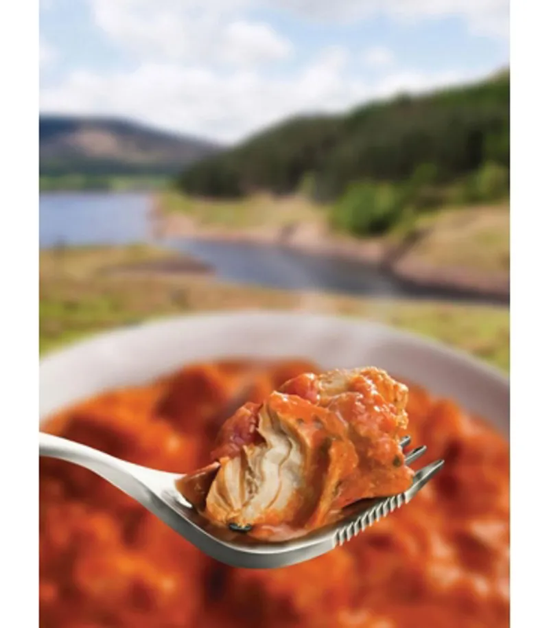 Wayfayrer Chicken Tikka and Rice-1