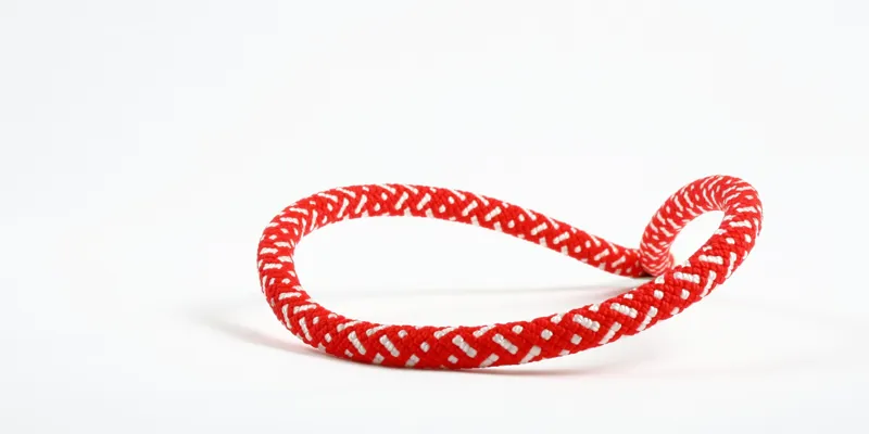 Edelweiss Discover 8mm Supereverdry 30m