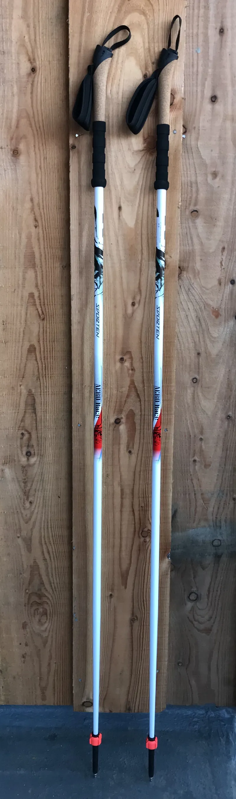 Sporten BC Nordic Back Country Pole-1