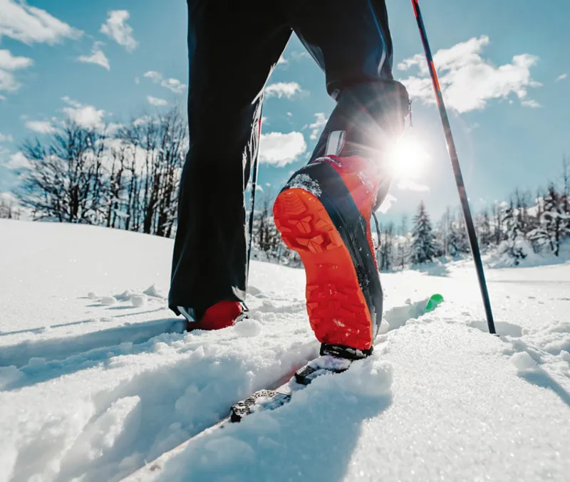 Pioneer Pro XP Dk. Brown-1