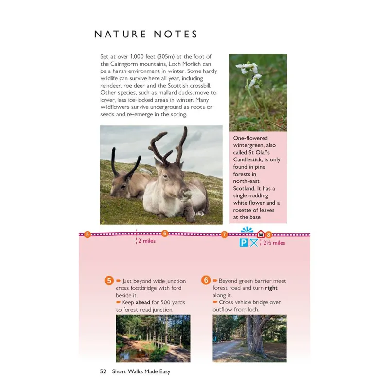 Aviemore and the Cairngorms Short Walks Guidebook - OS Short Walks Made Easy-4