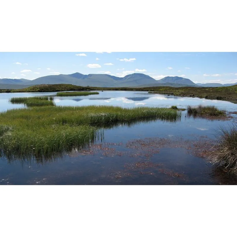 Ordnance Survey Landranger 41: Map of Ben Nevis-4