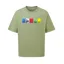 Sherpa Mens's Tarcho Mountain T-shirt - Pistachio